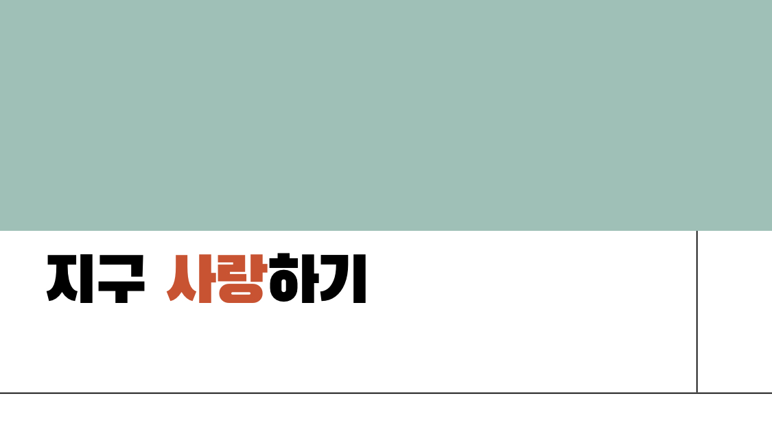 포트폴리오