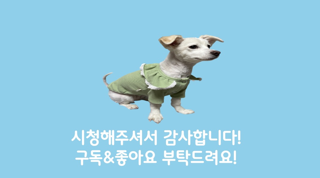 포트폴리오